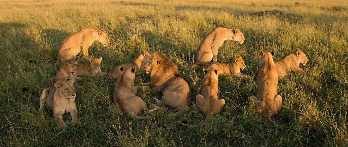 Create a photo with hidden words.